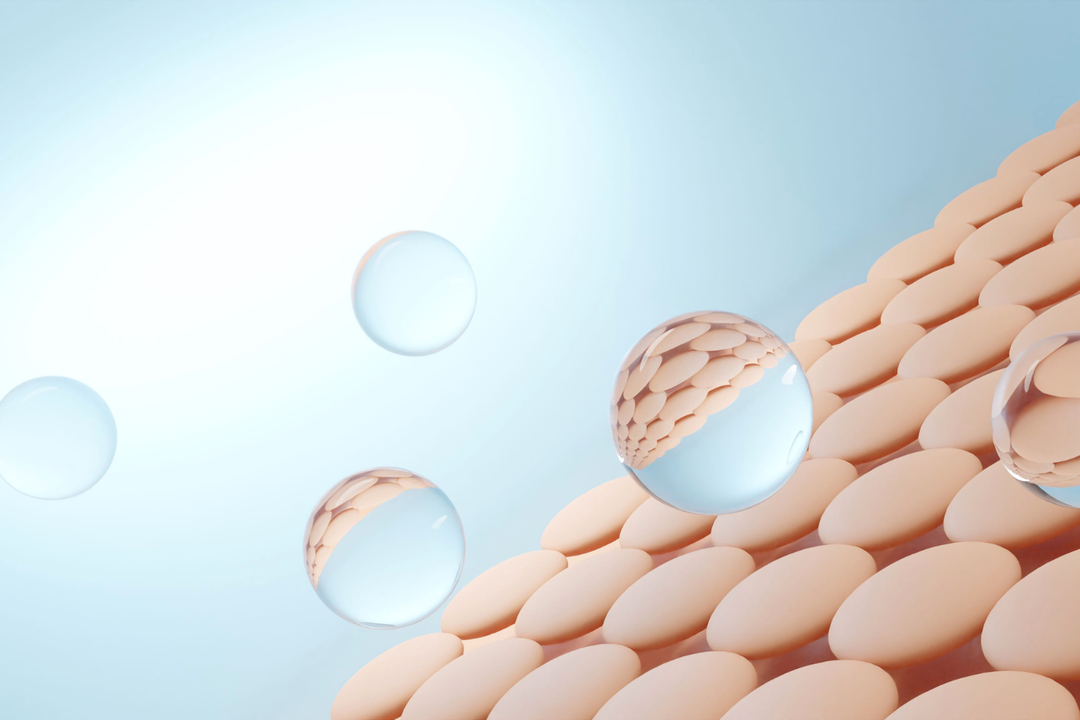 Ergothioneine and barrier lipids icon