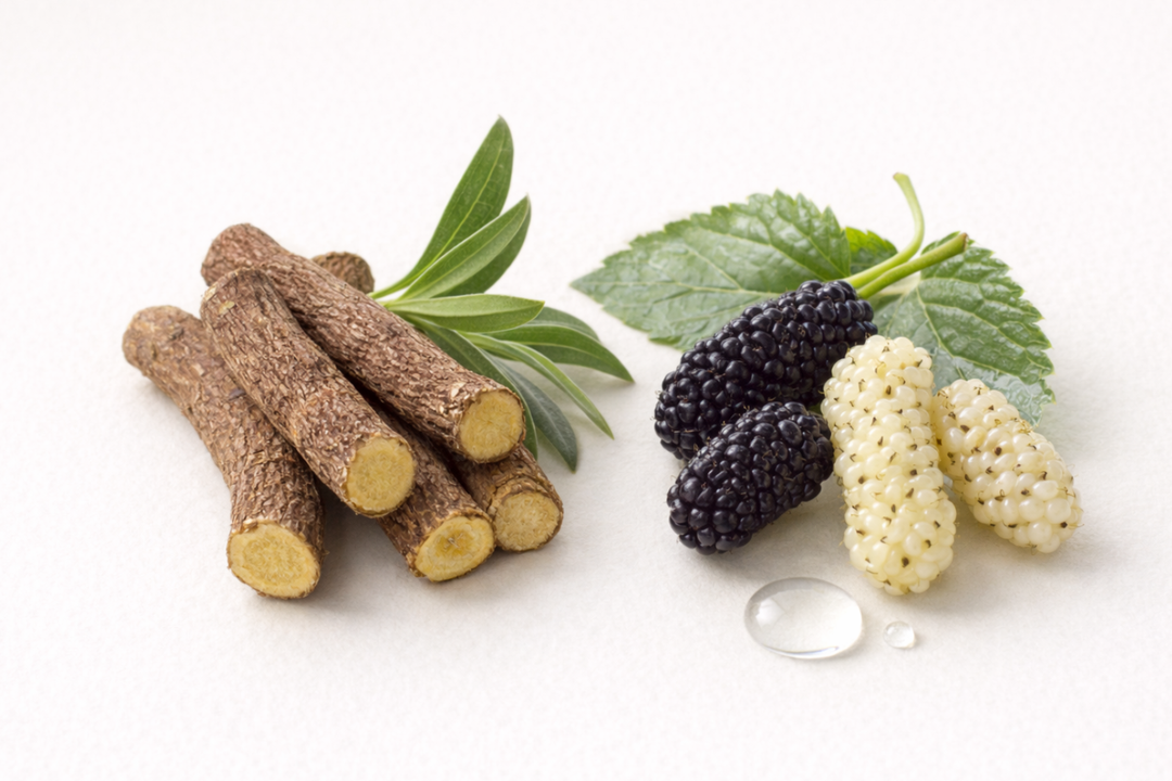 Licorice and Mulberry Extracts ingredient icon