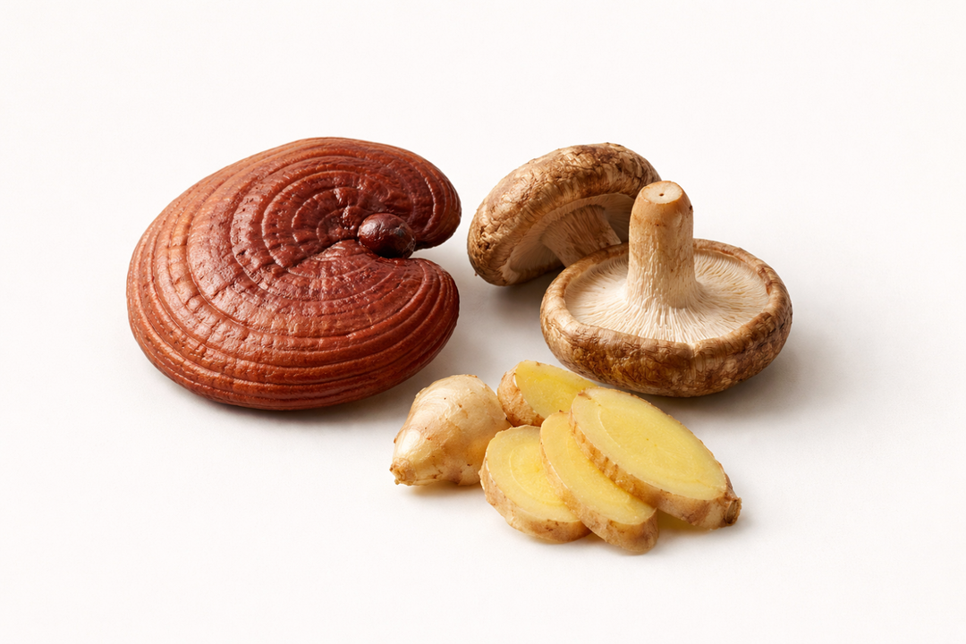 Reishi, Shiitake and Ginseng ingredient icon